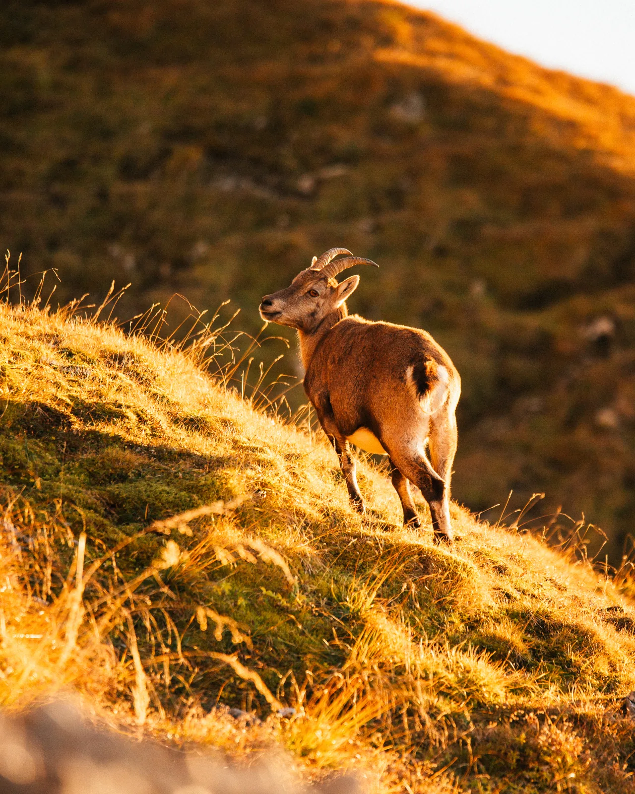 Landschaft – Foto 4 von Thomas Leuthard