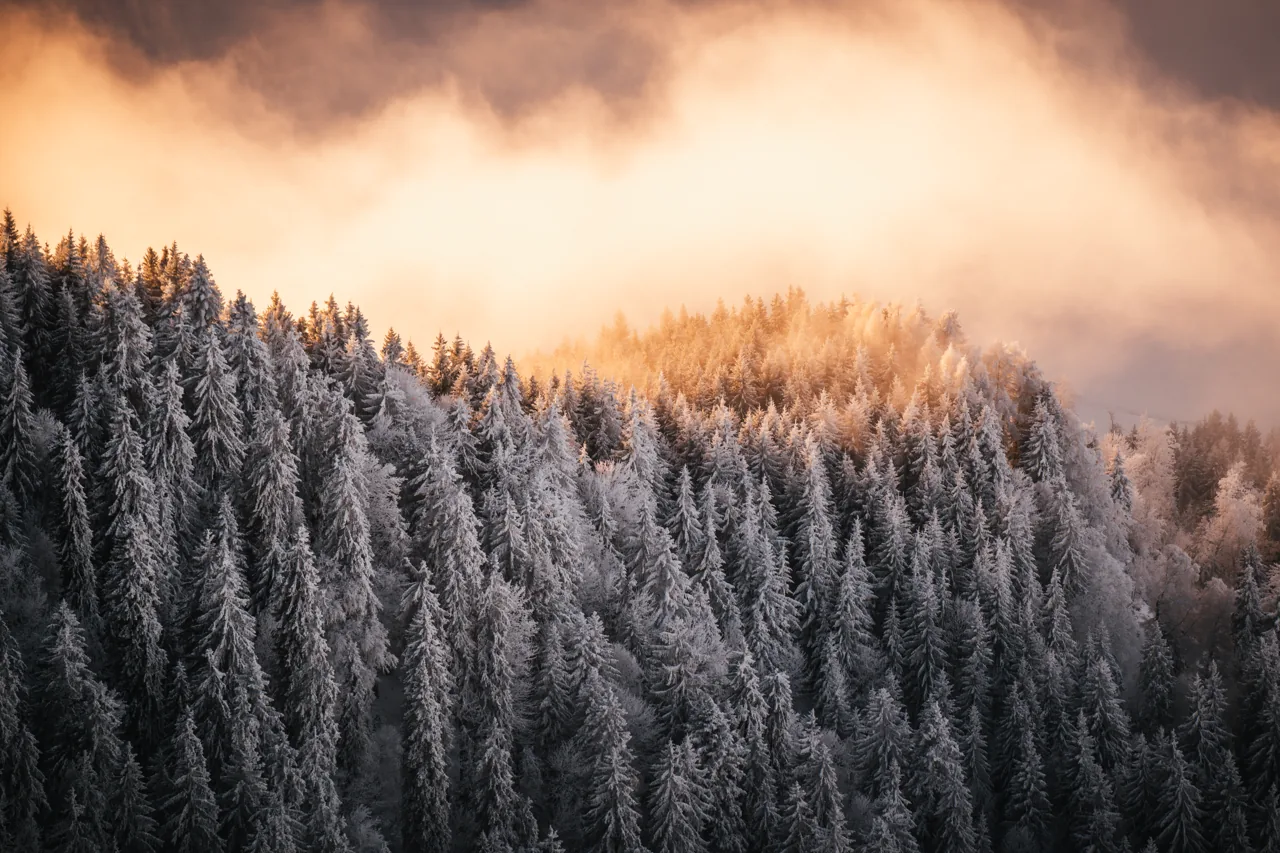 Landschaft – Foto 7 von Thomas Leuthard